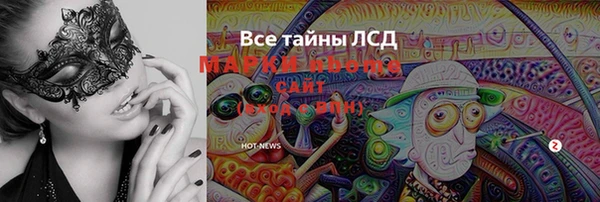 ECSTASY Алзамай