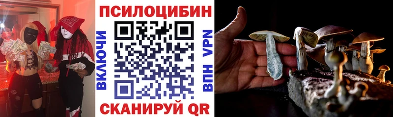 купить наркотик  Ахтубинск  Псилоцибиновые грибы ЛСД 